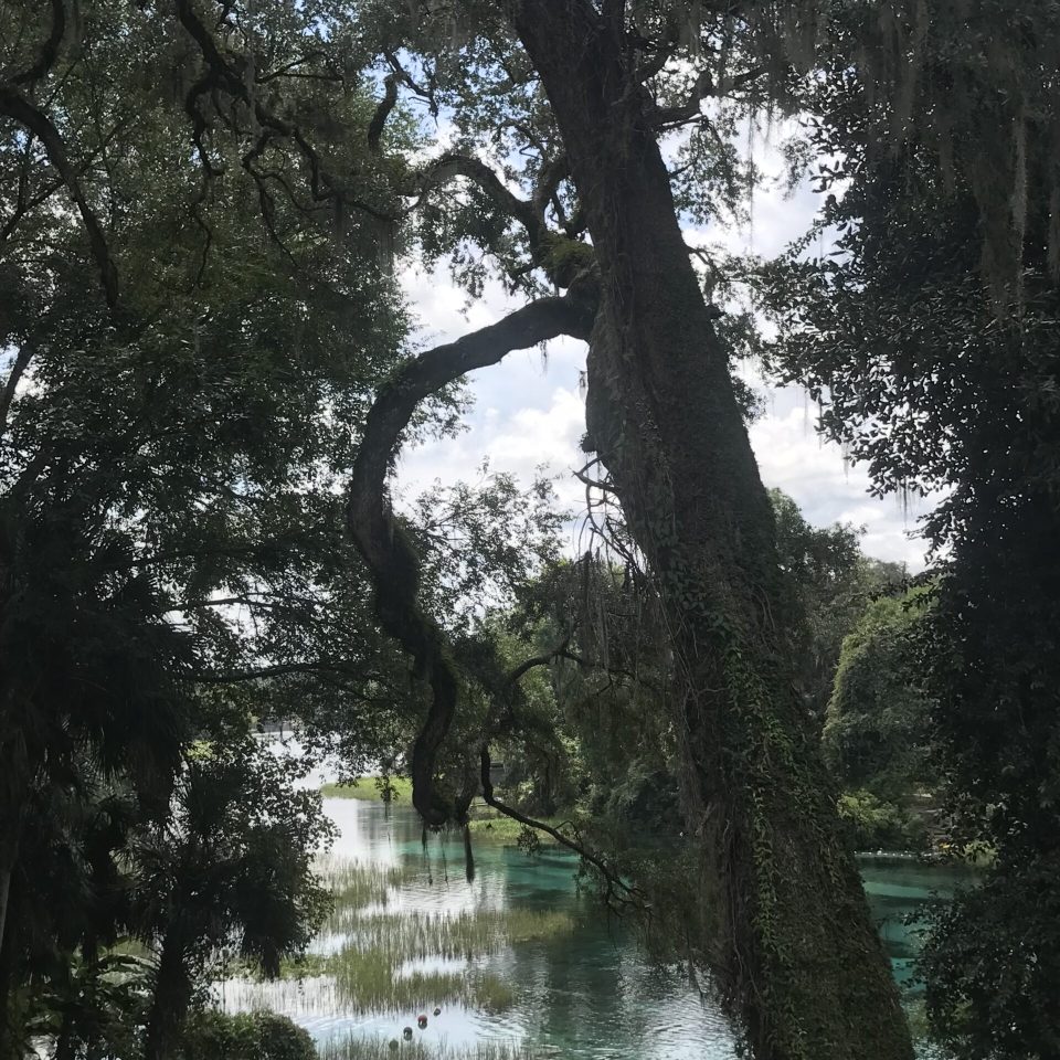 Rainbow Spring State Park